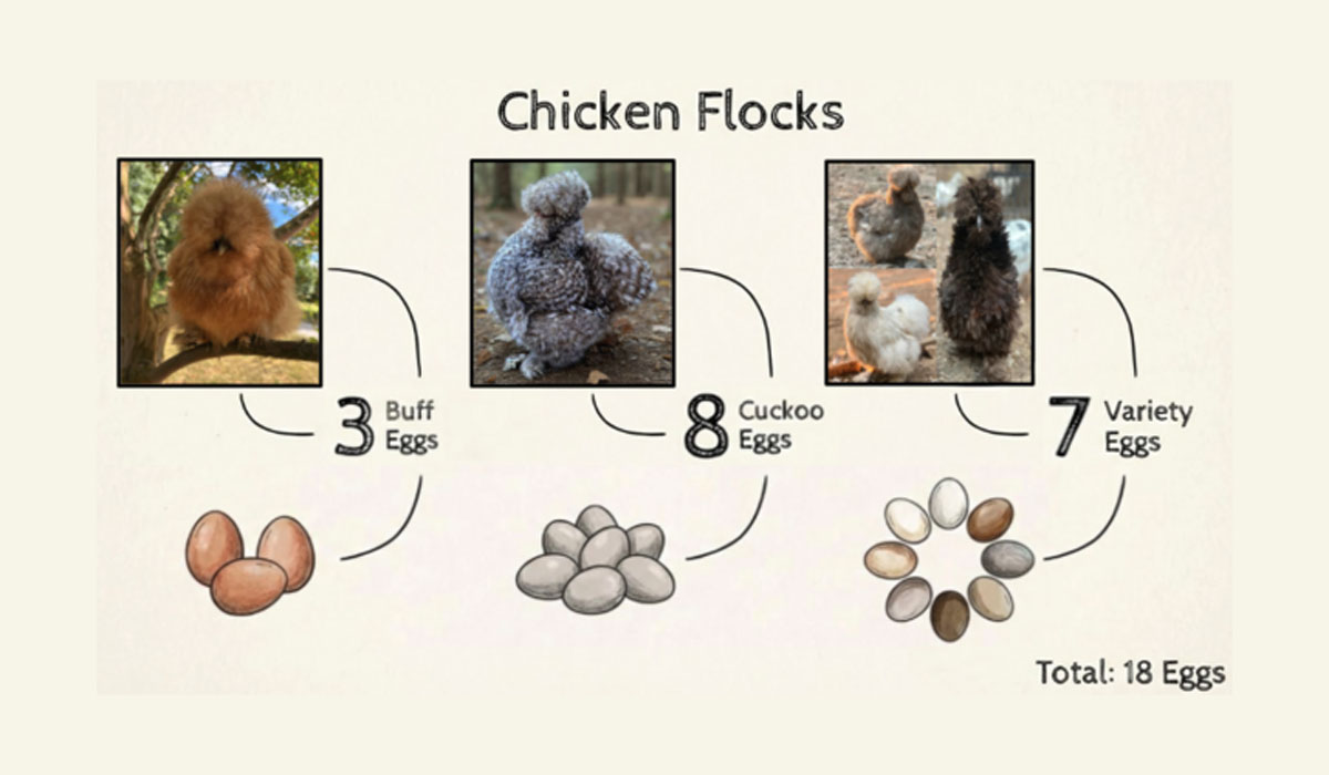 Eggsperimenting | A Longitudinal Study of Hatch Viability Using ...